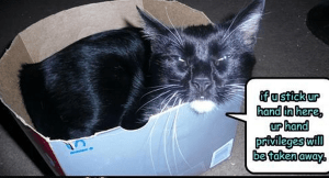 take away privileges