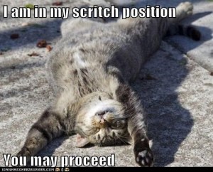 belly scritch postition